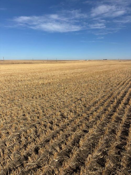 on Range Road 224, Barons, AB, T0L | Card Image