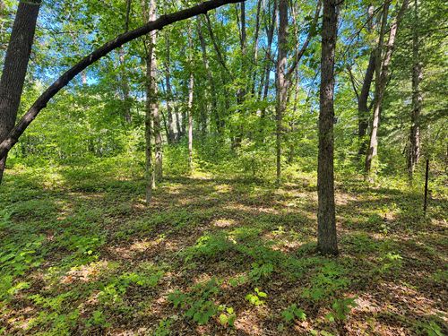 TBD 120th St Nw, Zimmerman, MN, 55398 | Card Image