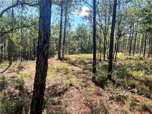 0 State Highway 225, Bay Minette, AL, 36507 | Card Image