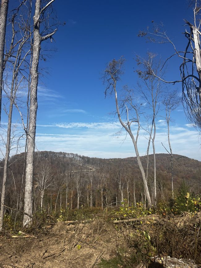 0 Northcutts Cove Rd, Home with 0 bedrooms, 0 bathrooms and null parking in Beersheba Springs TN | Image 6