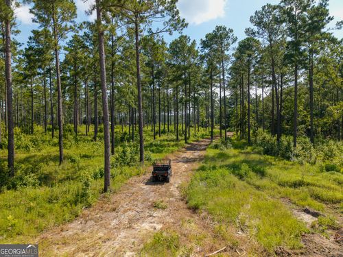 0 Henry Moxley Rd, Cobbtown, GA, 30420 | Card Image