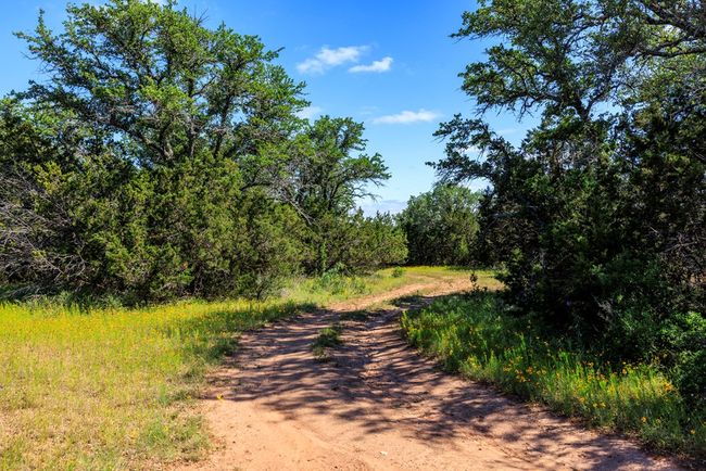 2199 Langes Mill Rd, Home with 0 bedrooms, 0 bathrooms and null parking in Doss TX | Image 21