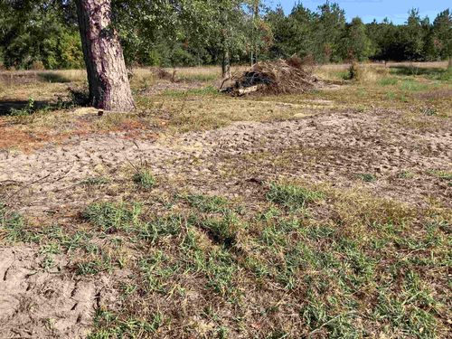 125 County Road 1910, Warren, TX, 77664-7427 | Card Image