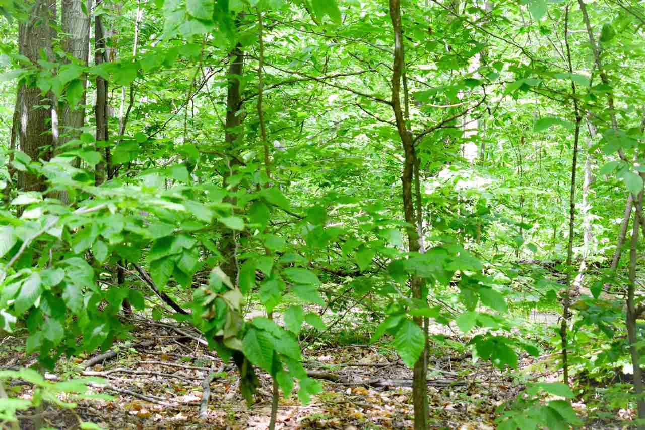 Land in Boyne City