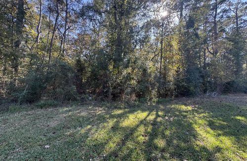 TBD Hunters Trl, New Caney, TX, 77357 | Card Image
