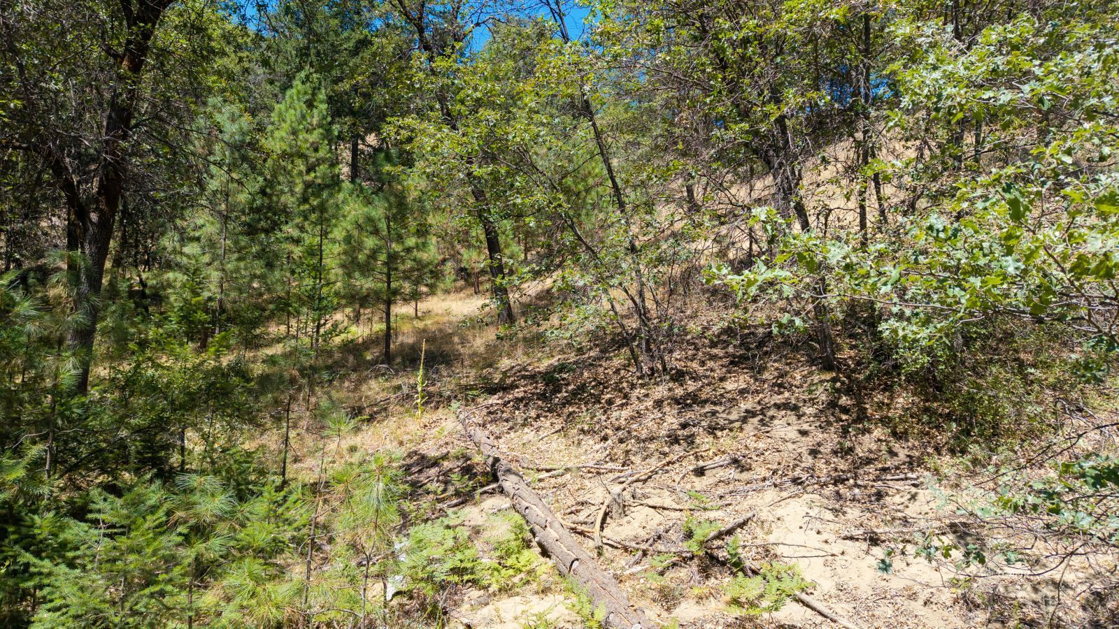 Land in Lewiston 4