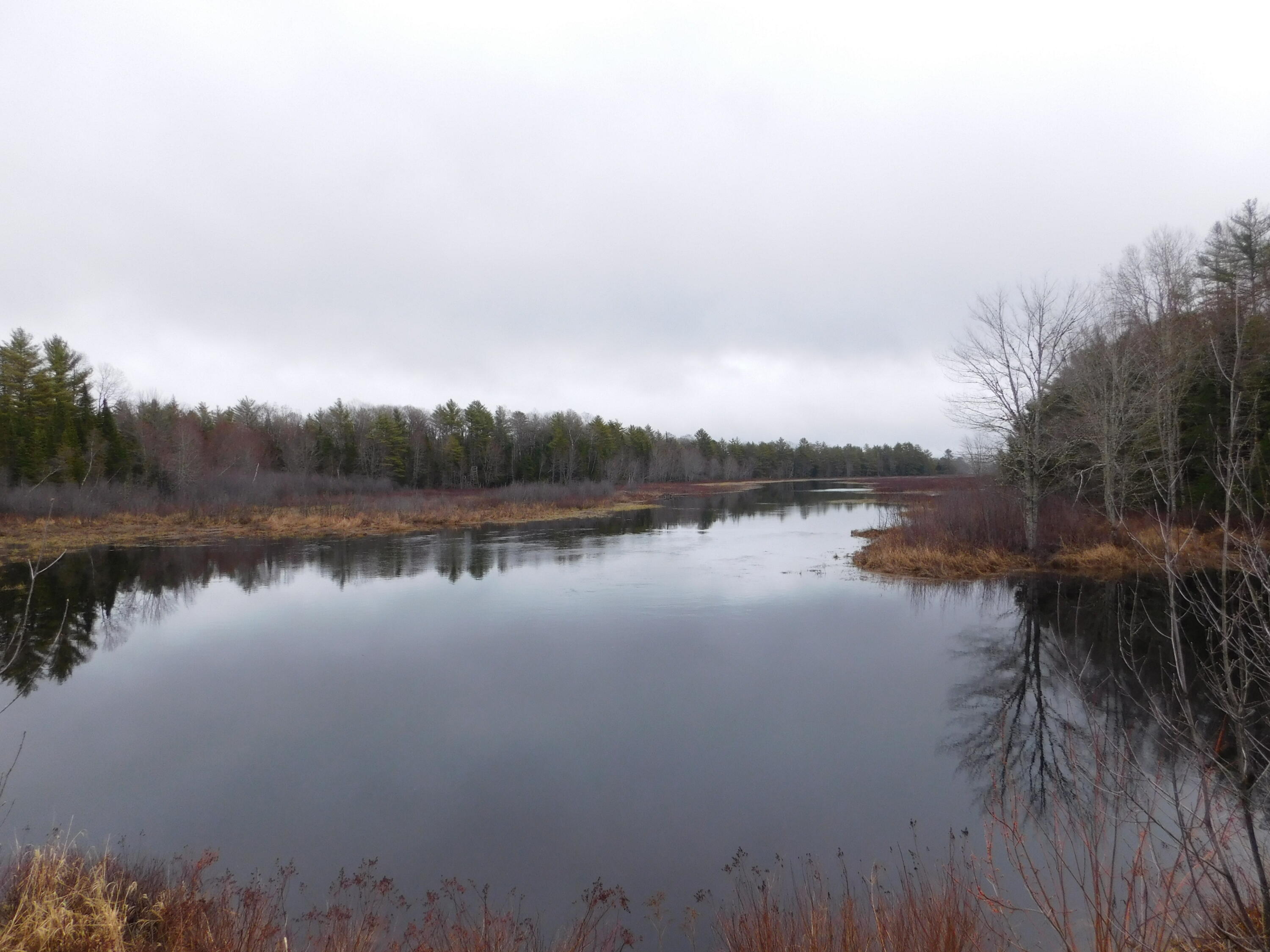 Land in Greenbush 5