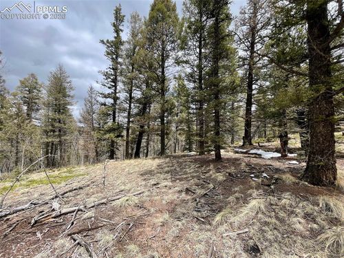 228 Alpine Drive, Florissant, CO, 80816 | Card Image