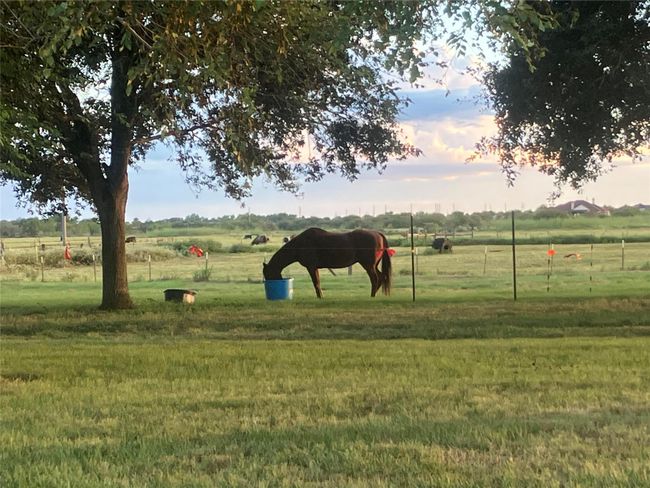 5848 Mieth Rd, Home with 0 bedrooms, 0 bathrooms and null parking in Sealy TX | Image 4