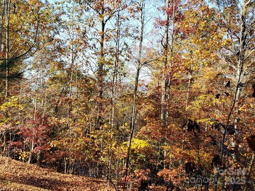 lot-58-TBD Top Oaks Lane, Pisgah Forest, NC, 28768 | Card Image