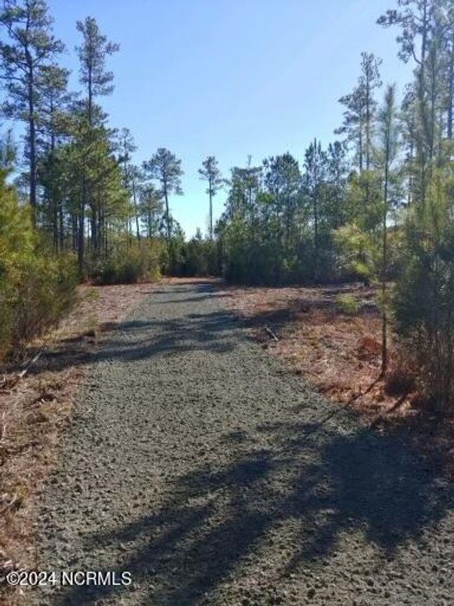 1010 Vandemere Creek Dr, Home with 0 bedrooms, 0 bathrooms and null parking in Vandemere NC | Image 4