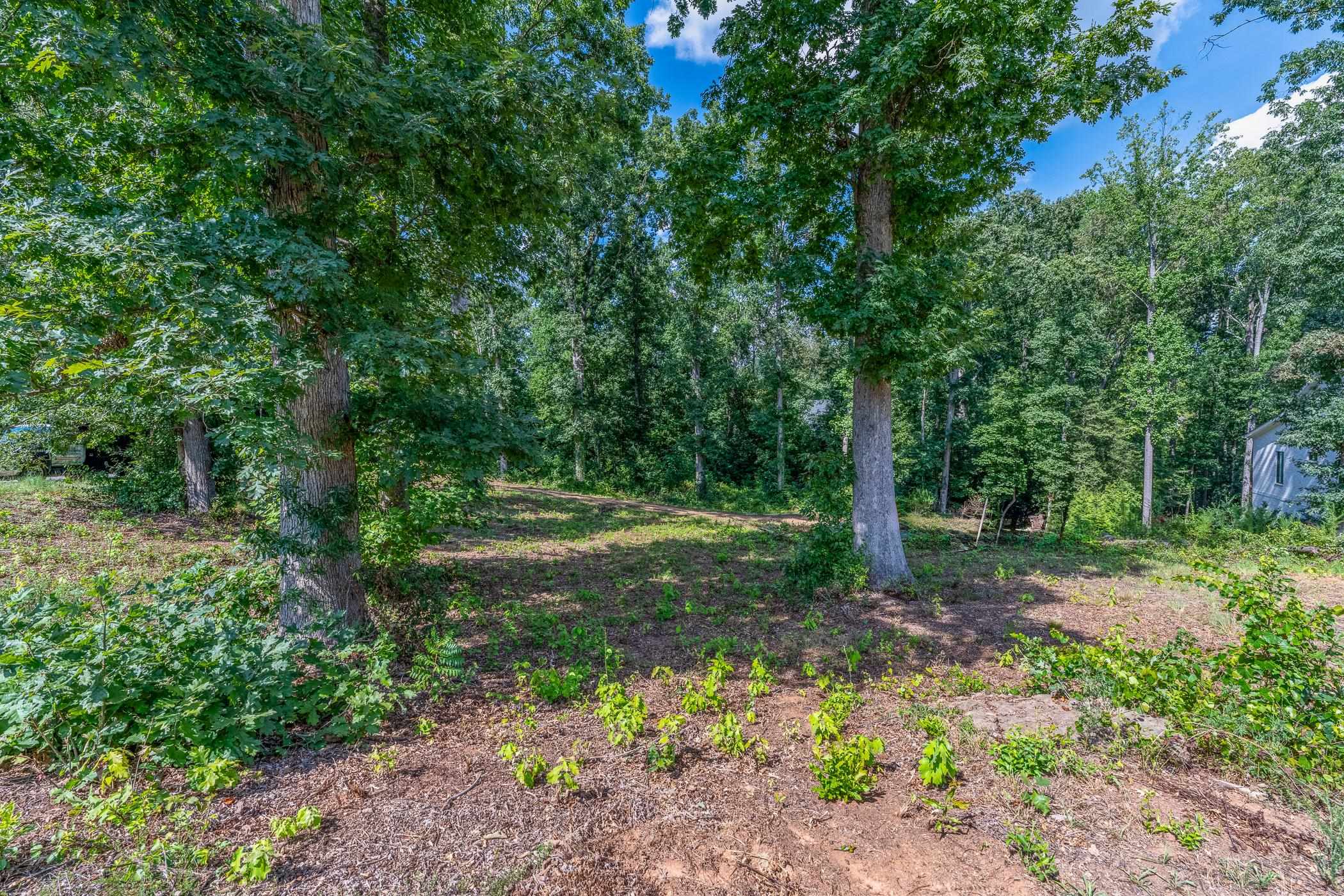 Land in Spartanburg 3