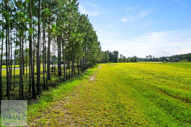 299 Collins Loop, Home with 0 bedrooms, 0 bathrooms and null parking in Odum GA | Image 13