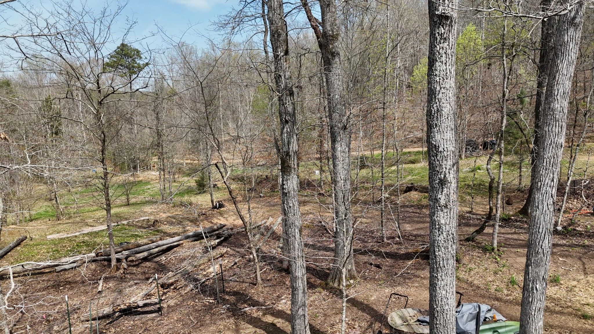 Land in Decatur 3