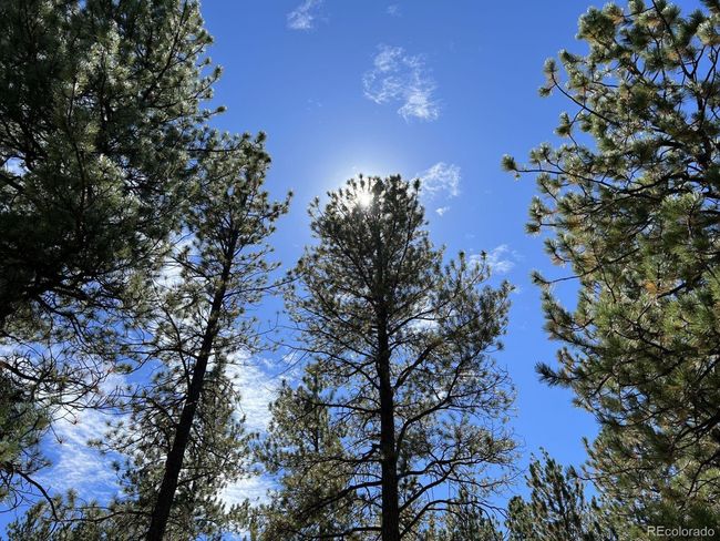 82 Kiowa Cir, Home with 0 bedrooms, 0 bathrooms and null parking in Westcliffe CO | Image 28