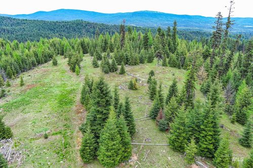 8 Tree Farm Trails Road, Elk City, ID, 83525 | Card Image