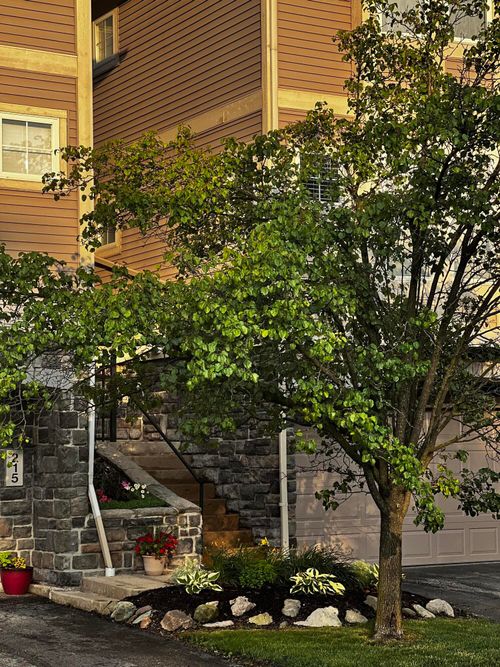 217 Old Creek Dr, Saline, MI, 48176-1761 | Card Image