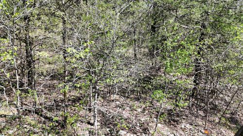Lot #20 Oak Lane, Shell Knob, MO, 65747 | Card Image