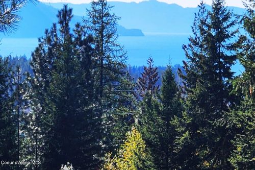 NKA Enchanted Forest Trl, Hope, ID, 83836 | Card Image