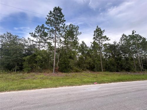 TBD Ne 150th Avenue, WILLISTON, FL, 32696 | Card Image