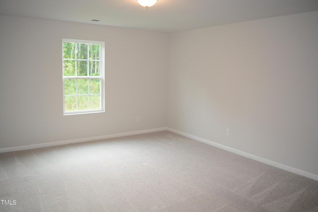 Photo #5 | Image 5