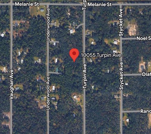 10055 Turpin Ave, Hastings, FL, 32145-8969 | Card Image