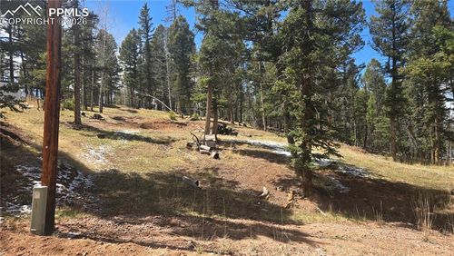 151 Mt Elbert Road, Florissant, CO, 80816 | Card Image