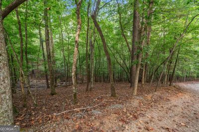 0 Gunite Circle, Home with 0 bedrooms, 0 bathrooms and null parking in Ellijay GA | Image 3