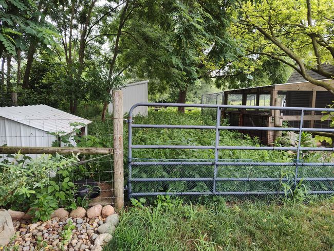 411 Block Rd, House other with 2 bedrooms, 2 bathrooms and null parking in Coldwater MI | Image 44
