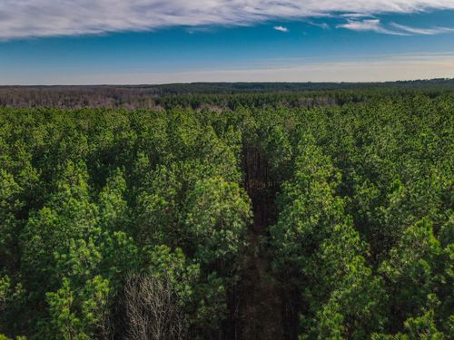 0 Old Linden Rd, Hohenwald, TN, 38462 | Card Image