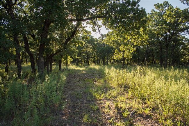1020 Post Oak Rd, Home with 0 bedrooms, 0 bathrooms and null parking in Gordon TX | Image 36