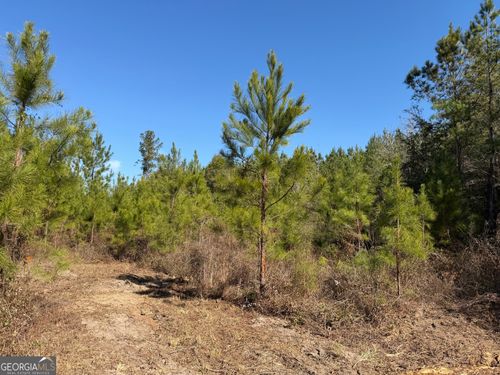 008 Sealy Wells Rd, Gordon, AL, 36343 | Card Image