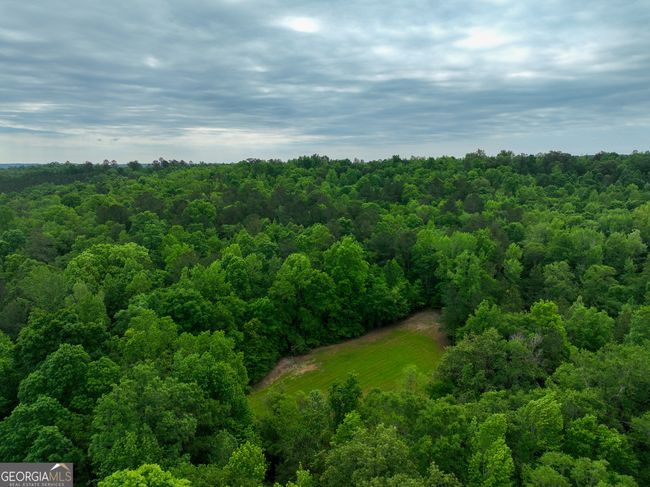 6620 Jr Sims Rd, Home with 0 bedrooms, 0 bathrooms and null parking in Irwinton GA | Image 56