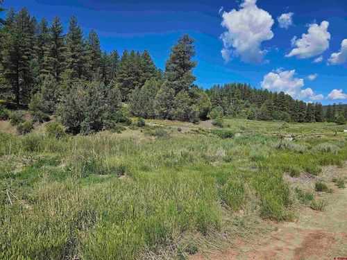 90 Badger Pl, Pagosa Springs, CO, 81147 | Card Image