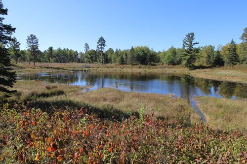 TBD N County Acrs, Fifty Lakes, MN, 56448 | Card Image