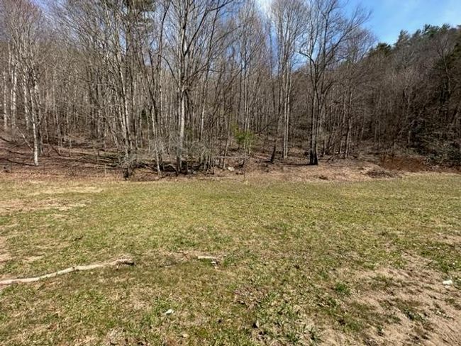 267 Sturgills Rd, House other with 3 bedrooms, 3 bathrooms and null parking in Mouth of Wilson VA | Image 79