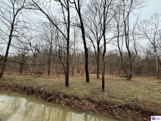 627 New State Rd, Home with 0 bedrooms, 0 bathrooms and null parking in Webster KY | Image 13