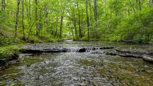 0 Catheys Creek Rd, Hampshire, TN, 38461 | Card Image