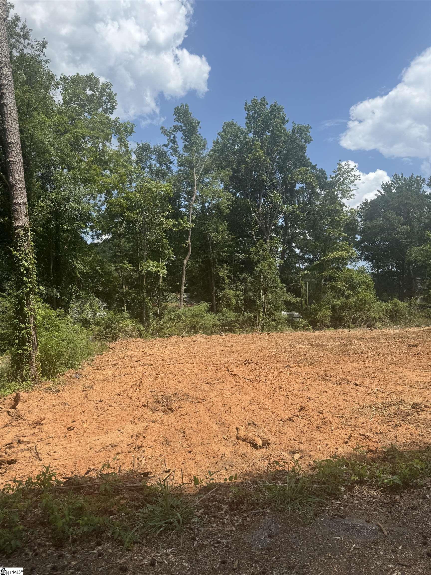Land in Anderson 4