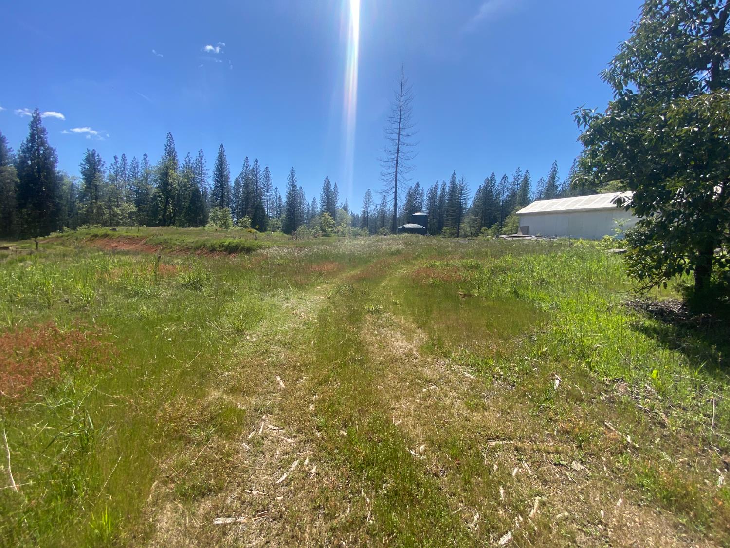 Land in Nevada City 3