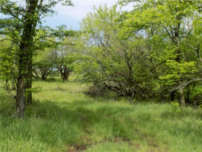 1267 Rock Creek Rd, Home with 0 bedrooms, 0 bathrooms and null parking in Williamsburg KS | Image 24