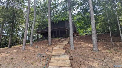 95 County Road 919, House other with 3 bedrooms, 3 bathrooms and null parking in Leesburg AL | Image 3