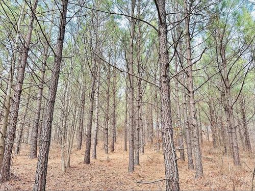 48 Ranches At Hickory Ridge, Dover, TN, 37058 | Card Image