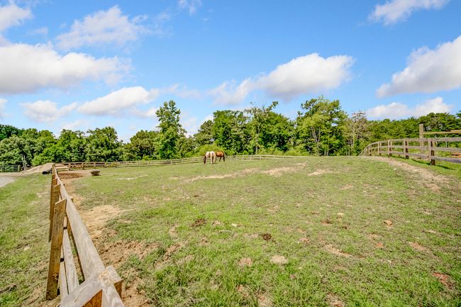 507 Big Stump Mountain Trl, House other with 3 bedrooms, 3 bathrooms and null parking in Jasper GA | Image 97