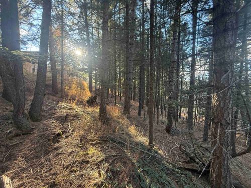 72 Mammoth Mountain Rd, Angel Fire, NM, 87710-8060 | Card Image