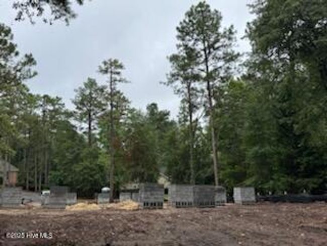 305 Burning Tree Rd, House other with 4 bedrooms, 4 bathrooms and 2 parking in Pinehurst NC | Image 6