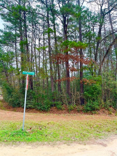 TBD Pine Valley Dr, Shepherd, TX, 77371 | Card Image