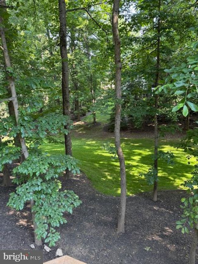 11400 Towering Oak Way, House other with 7 bedrooms, 5 bathrooms and null parking in RESTON VA | Image 53