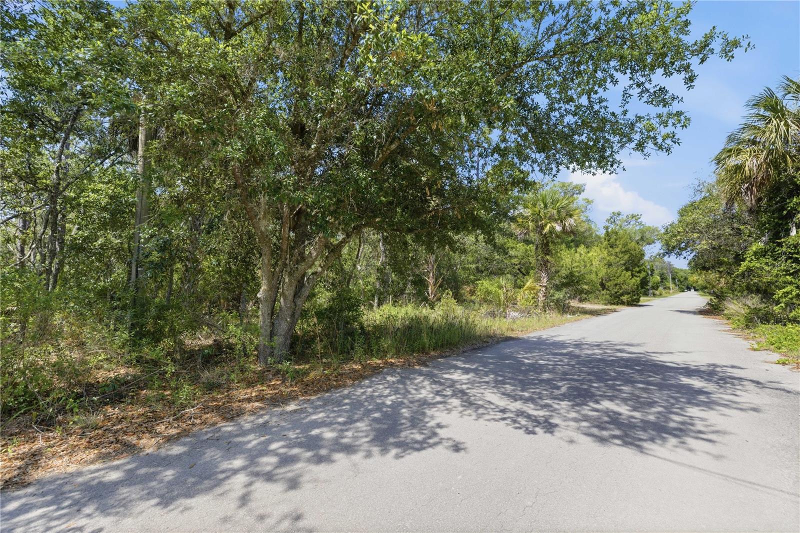 Land in CRYSTAL RIVER 5