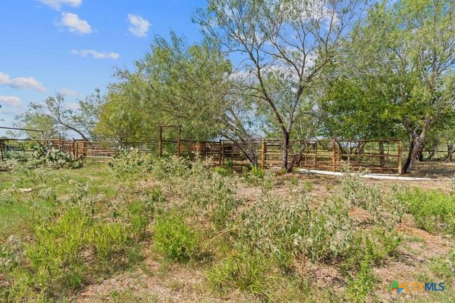 10 Sparta Field Rd, Home with 0 bedrooms, 0 bathrooms and null parking in Waelder TX | Image 14